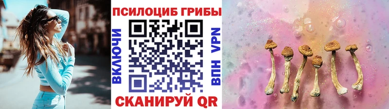 МЕГА маркетплейс  наркошоп  Сарапул  Псилоцибиновые грибы мухоморы 